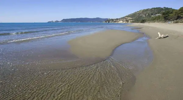 Le **spiagge** dorate dell'**Argentario** incontrano il mare cristallino, con un ruscello che serpeggia sulla **sabbia**.