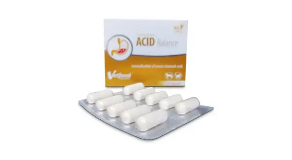 Acid Balance dla psa: zakwaszanie moczu, kamica i infekcje