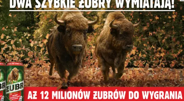 Do kiedy trwa promocja żubra? Nie przegap ostatniej szansy!