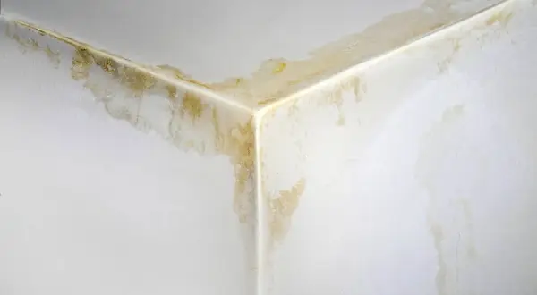 Angolo di un muro con evidenti macchie di umidità e muffa gialla che scende verso il basso, segno di infiltrazioni.