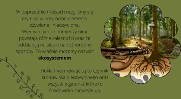 Co to jest szata roślinna i dlaczego jest kluczowa dla ekosystemu?