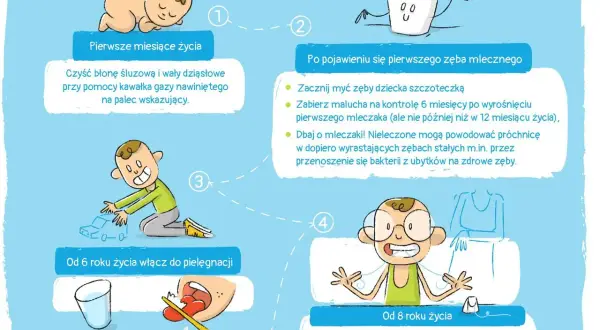 Kiedy wychodzą 6 zębów u dziecka, zaczynamy dbać o higienę jamy ustnej. Ilustracja pokazuje etapy rozwoju zębów i pielęgnacji.