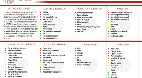 Dieta del reflusso: cibi da evitare (rossi), da moderare (gialli) e permessi (verdi). Evita cibi grassi e acidi per il reflusso.