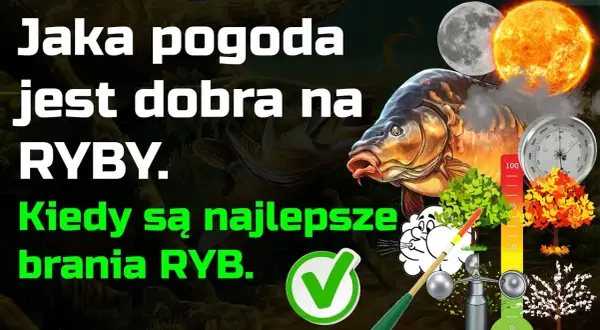 Jaka pogoda na ryby? Rozszyfruj prognozę i łów skuteczniej!