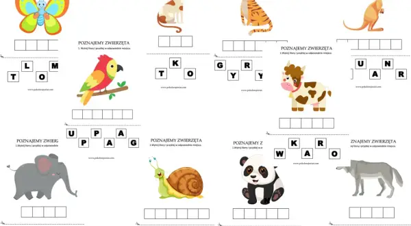 Zwierzęta karty pracy: motyl, papuga, słoń, ślimak, kot, tygrys, krowa, panda, kangur, wilk. Uzupełnij nazwy zwierząt.