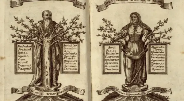 Drzewo genealogiczne z wizerunkami mężczyzny i kobiety, z listami pokrewieństwa. Czy siostrzeniec i wujek to to samo? Nie, to różne relacje rodzinne.