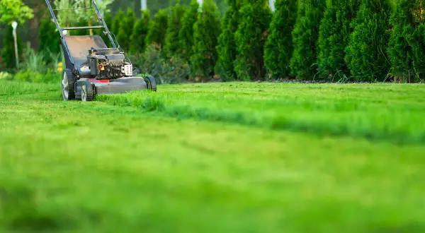 Kosiarka z funkcją mulczowania trawy pracuje na zielonym trawniku, tworząc naturalny nawóz.