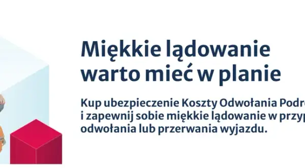 Kobieta z paszportem i pieniędzmi, gotowa do podróży. Warta ubezpieczenie od rezygnacji z podróży zapewni Ci miękkie lądowanie.