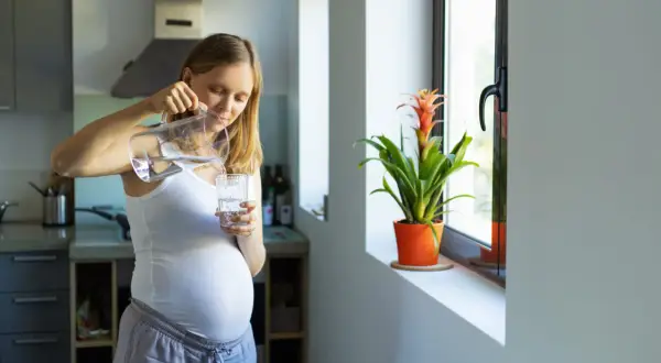 Une femme enceinte verse de l'eau du robinet dans un verre. Elle est dans sa cuisine, près d'une fenêtre avec une plante.