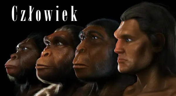 Jak powstał pierwszy człowiek? Od hominidów do Homo sapiens