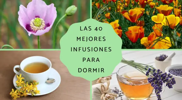 Adormidera, amapola de California, hipérico y lavanda, ingredientes para **tes relajantes** que ayudan a dormir.