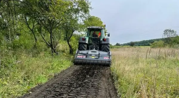 Ile kosztuje mulczowanie terenu? Sprawdź, co wpływa na ceny usług