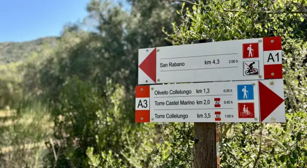 Cartelli segnaletici nel Parco Regionale della Maremma indicano sentieri per San Rabano, Oliveto Collelungo e Torre Castel Marino.