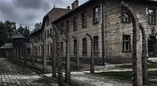 Jakie narodowości zginęły w Auschwitz? Prawda o ofiarach Holokaustu