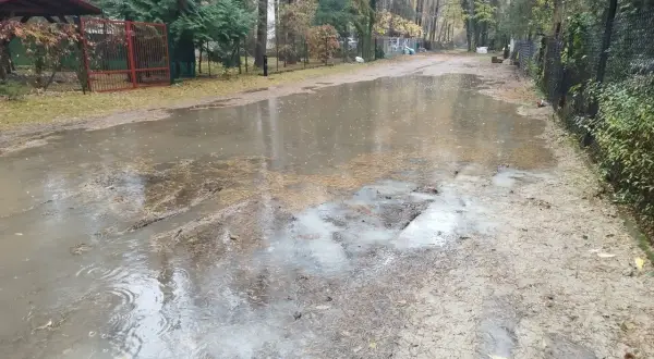 Po ulewnym deszczu powstał duży staw na drodze w Sokolnikach w lesie. Woda odbija drzewa i niebo.
