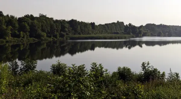 Spokojne, duże jezioro Dzierżno Duże otoczone gęstym lasem. Woda odbija drzewa, tworząc malowniczy krajobraz.