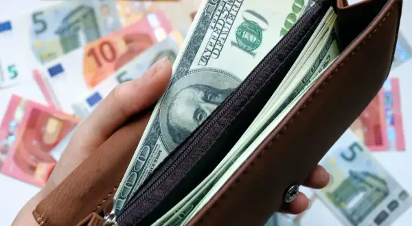 Dłoń trzyma brązowy portfel z banknotami dolarowymi i euro. Zastanawiasz się, w jaką walutę inwestować?