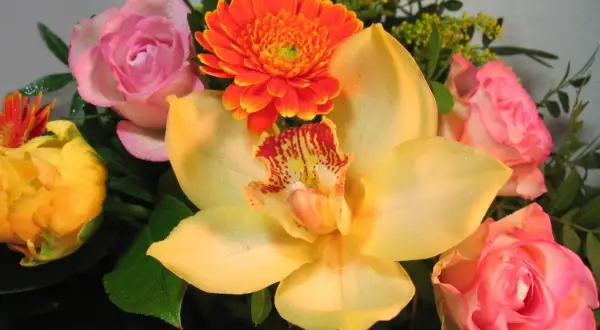 Kwiaty na imieniny Angeliki: żółta orchidea, różowe róże, pomarańczowa gerbera i żółte róże.