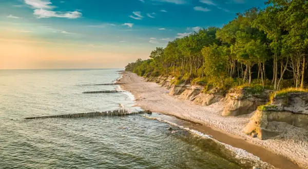 Piękny zachód słońca nad morzem, gdzie piaszczysta plaża z drzewami na klifie tworzy malowniczy krajobraz. W oddali widać spacerujące gąski.