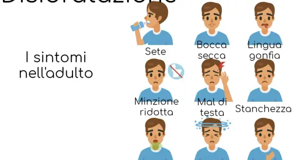 I sintomi della disidratazione nell'adulto: sete, bocca secca, lingua gonfia, minzione ridotta, mal di testa, stanchezza, alito cattivo, capogiri, palpitazioni.