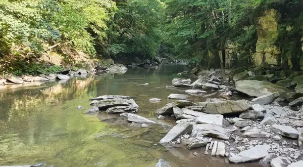 Kamieniste koryto rzeki w lesie, idealne na spacer po polańczyk szlaki. Woda odbija zieleń drzew.