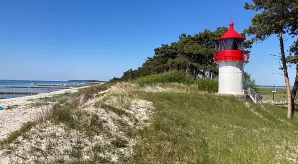 Leuchtturm auf Hiddensee, autofrei und idyllisch. Strand, Meer und Kiefernwald bilden die Kulisse für diesen friedlichen Ort.