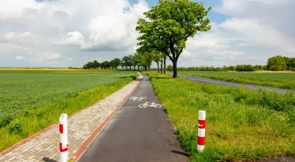 Malownicza wiślana trasa rowerowa wśród zielonych pól i drzew. Idealne miejsce na spokojną przejażdżkę.