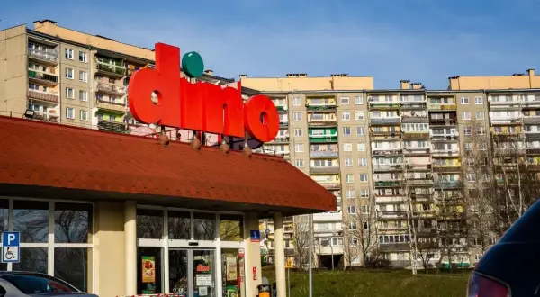 Co warto kupić w Dino, aby zaoszczędzić i zadbać o zdrowie