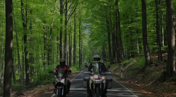 Zwei Motorradfahrer genießen eine entspannte Motorradtour im Bergischen Land, umgeben von einem leuchtend grünen Buchenwald.