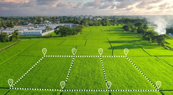 Zielone pole ryżowe z zaznaczonymi punktami i liniami, sugerujące podział działki pod inwestycję. W tle zabudowania, chmury. To może być wizualizacja opłaty adiacenckiej.