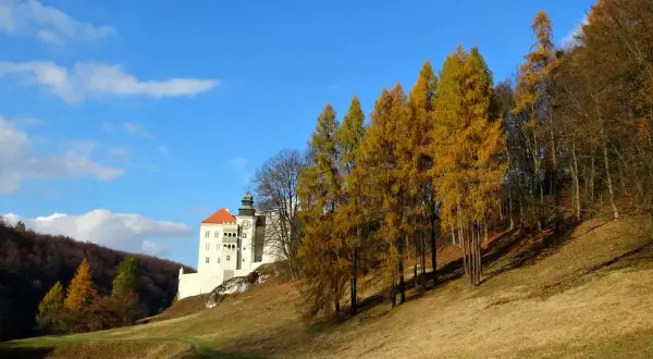 Pieskowa Skała atrakcje, które zaskoczą każdego turystę