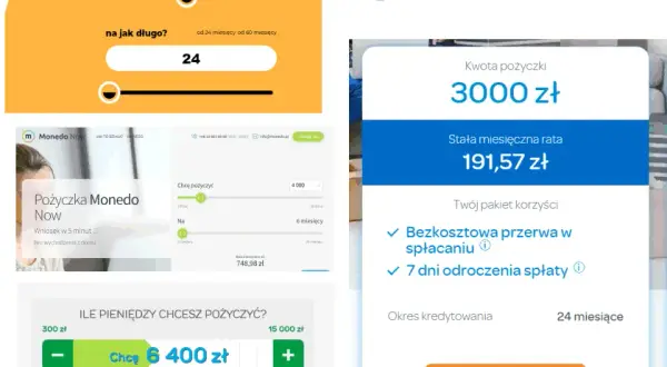 Pożyczka jak Provident - najlepsze alternatywy bez weryfikacji dochodów