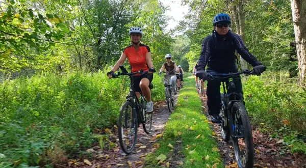 Grupa rowerzystów przemierza malownicze milickie trasy rowerowe wśród zieleni i jesiennych liści.
