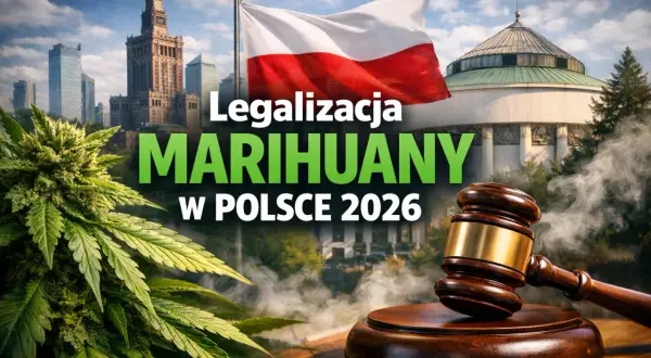 Konopie, polska flaga, budynek Sejmu i młotek sędziowski na tle Warszawy.