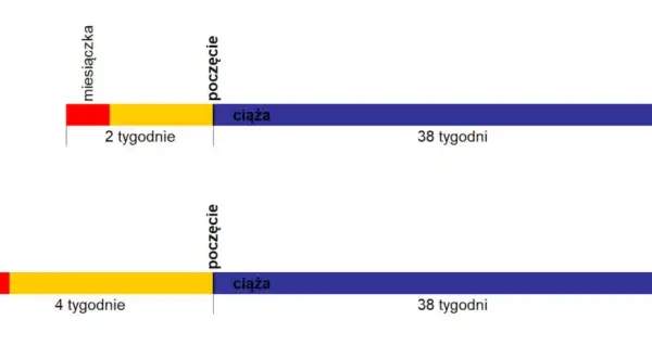 Termin porodu: USG czy miesiączka? Która data jest pewniejsza?
