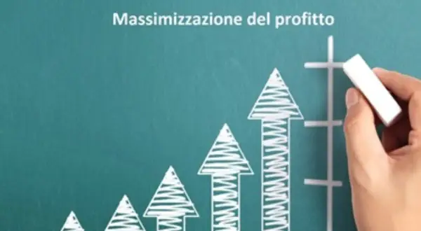 Grafico con frecce in crescita e la scritta "Massimizzazione del profitto". Ideale per chi vuole vendere locale commerciale e aumentare i guadagni.