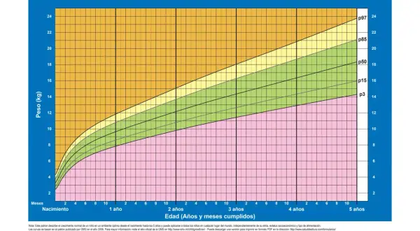 Gráfico OMS de peso para la edad de niños. Muestra percentiles de peso para un peso niño 2 años y hasta 5 años.