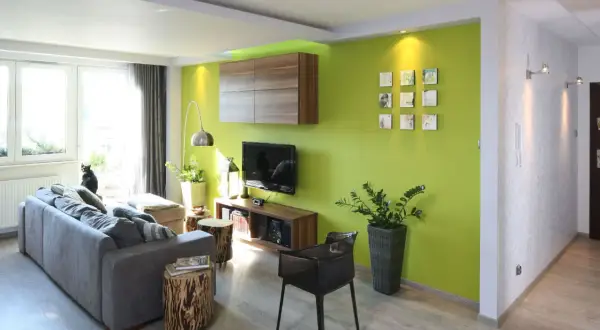 Nowoczesny salon z zieloną ścianą, szarą kanapą i czarnym kotem. Zielony pokój inspiracje dla odważnych.