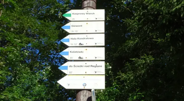 Tablica z drogowskazami w Tatrach: Kasprowy Wierch, Giewont, Hala Kondratowa, Kalatówki, Ścieżka nad Regłami, Lawinowe Centrum Treningowe. W tle las i niebo.