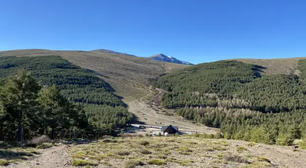 Paisaje montañoso con bosques de pinos y un camino que desciende hacia el puerto de la Ragua. Se ve una edificación y coches aparcados.
