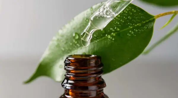 Una goccia di liquido trasparente cade da un contagocce su una foglia verde bagnata. La glicerina, cos'è? Un ingrediente idratante essenziale.