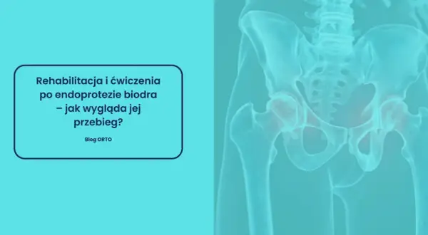 Rehabilitacja po endoprotezie biodra. Grafika przedstawia miednicę z zaznaczonymi stawami biodrowymi, sugerując przykurcz biodra.