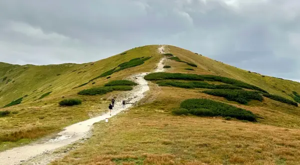 Szlak turystyczny na szczyt, idealne zakopane atrakcje. Ludzie wędrują pośród zielonych zboczy.