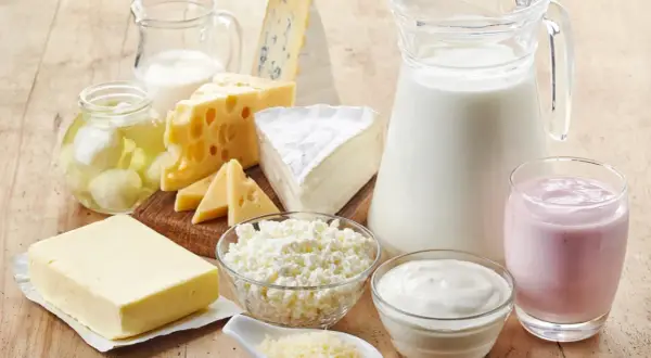 Różnorodne produkty mleczne: ser, masło, jogurt, mleko, twaróg.