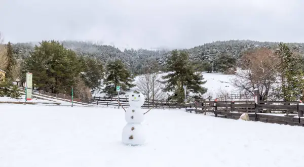 Muñeco de nieve sonriente en un paisaje nevado, ideal para saber donde ver nieve en Madrid. Bosques cubiertos de blanco y cielo nublado.