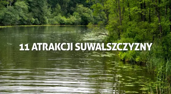 Najlepsze atrakcje w Suwałkach, które musisz zobaczyć podczas wizyty