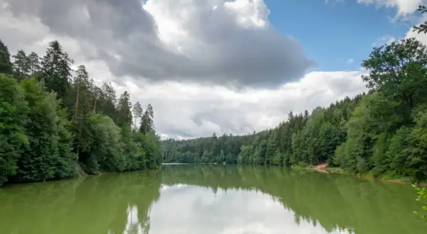 Idyllischer Herrenbachstausee, perfekt zum Angeln. Grüne Wälder spiegeln sich im ruhigen Wasser unter dramatischen Wolken.
