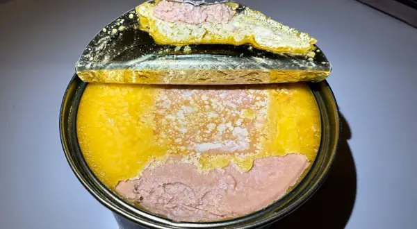 Otwarta puszka z pasztetem. Widoczna warstwa różowego pasztetu i żółtej galarety. To właśnie foie gras co to jest, czyli pasztet z gęsiej lub kaczej wątróbki.