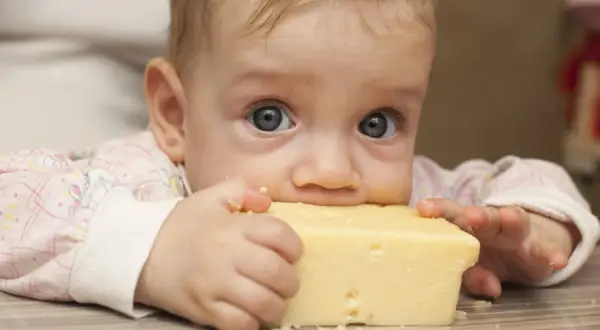 Parmezan dla niemowlaka? Tak, ale po 1. roku życia! Porady.