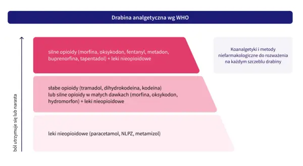 Drabina analgetyczna WHO: leki nieopioidowe, słabe i silne opioidy, koanalgetyki. Pomaga dobrać odpowiednie analgetyki do nasilenia bólu.